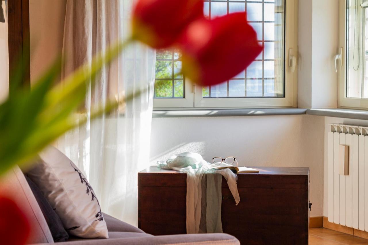Otricoli Casale Le Brecce B&B المظهر الخارجي الصورة