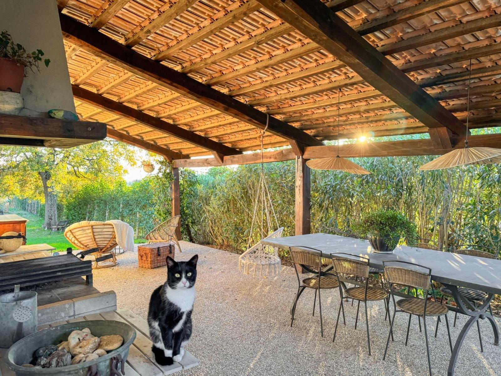 Otricoli Casale Le Brecce B&B المظهر الخارجي الصورة