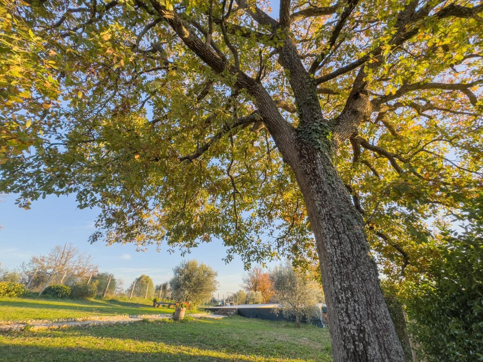 Otricoli Casale Le Brecce B&B المظهر الخارجي الصورة